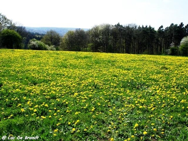 marche Adeps wandeling Honnay Ardennen