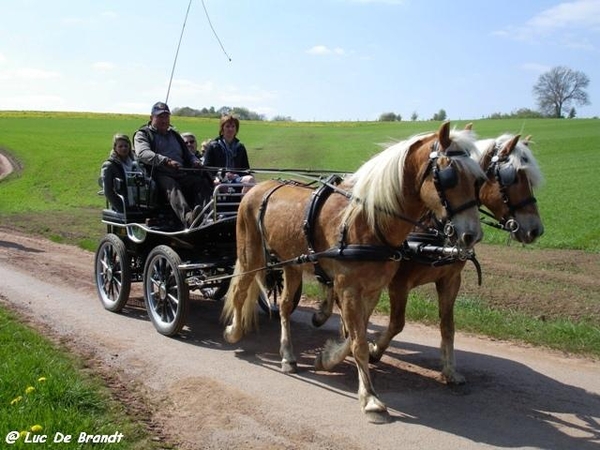 marche Adeps wandeling Honnay Ardennen