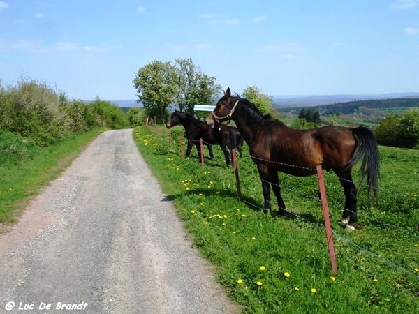 marche Adeps wandeling Honnay Ardennen