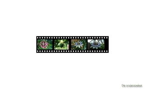 les 28 Filmstrip 2.