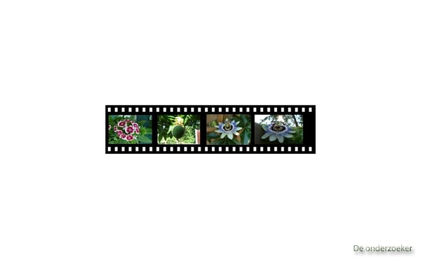 les 28 Filmstrip 2.