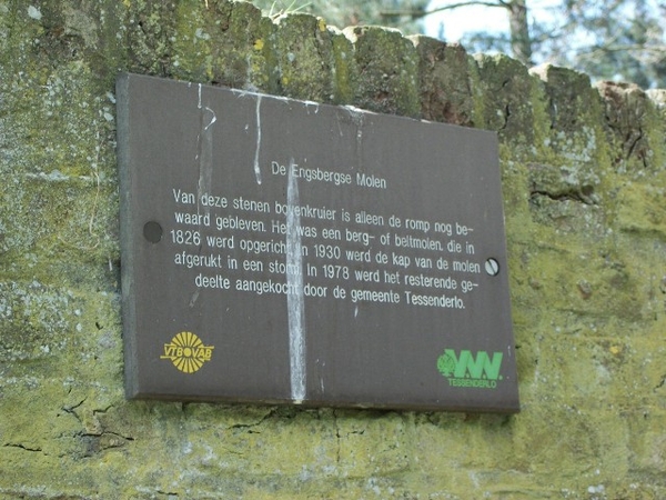 19-