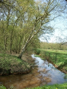 34-Lus door Asdonk