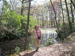 38-Natuurreservaat Groot-Asdonk