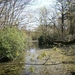 39-Natuurreservaat Groot-Asdonk