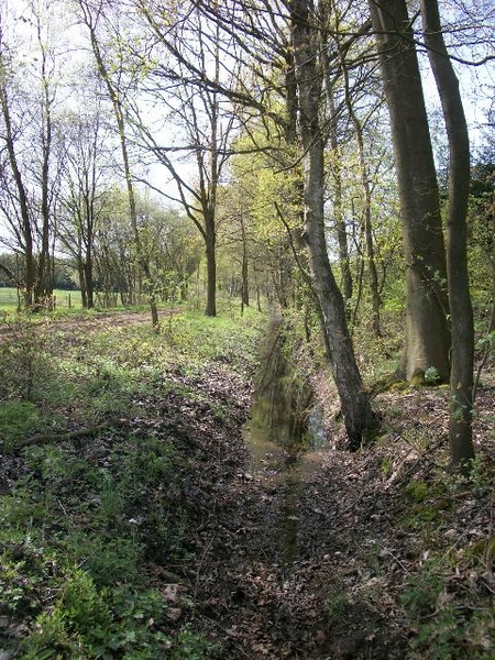 55-Prinsenbos