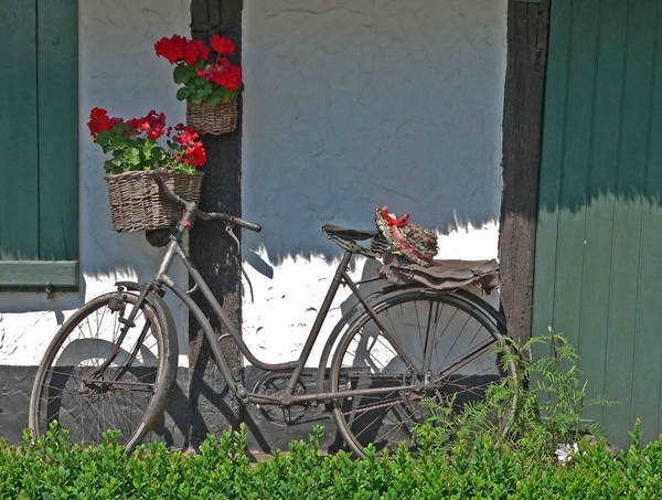 Fiets