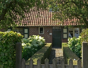 Isschot