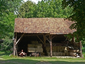 Karrenkot