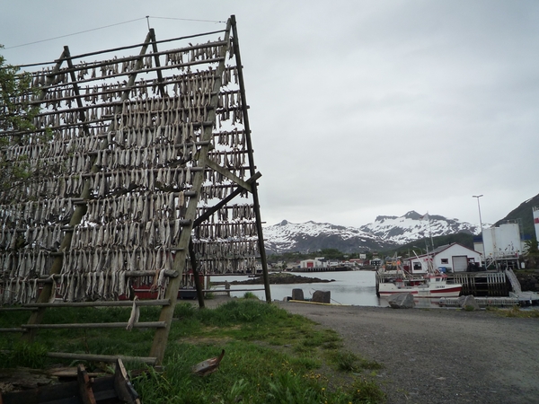 23 Svolvaer _P1100525