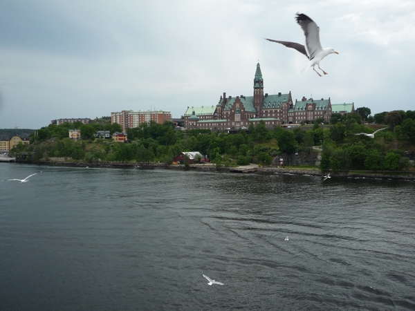 Helsinki --) Stockholm cruise 