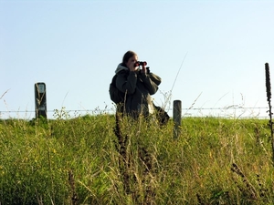 zeehondenspotting_14sep08_046