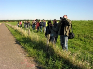 zeehondenspotting_14sep08_051