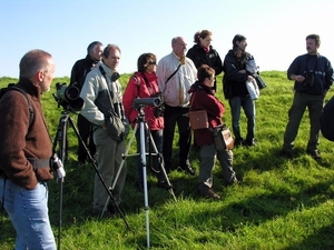 zeehondenspotting_14sep08_057