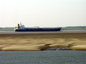 zeehondenspotting_14sep08_065