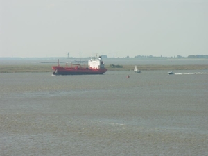 zeehondenspotting_14sep08_073