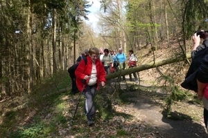wandelweekend adenau 102