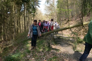 wandelweekend adenau 105