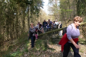 wandelweekend adenau 106