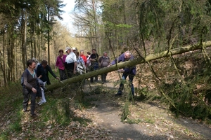 wandelweekend adenau 108