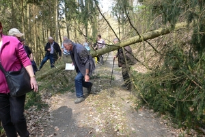 wandelweekend adenau 109