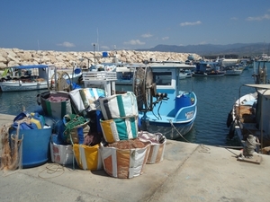 DSC02570