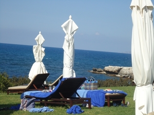DSC02575