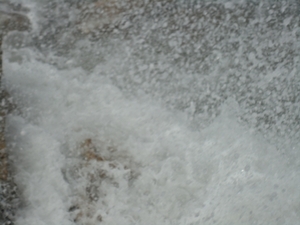 DSC02611