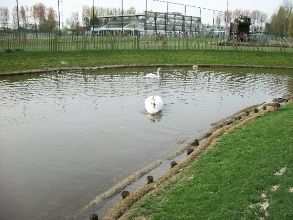 016-Kinderboerderij met vijvers