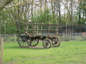 017-De Lenspolder-Kinderboerderij