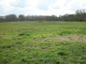 051-Natuurreservaat-Ter Yde-260ha groot