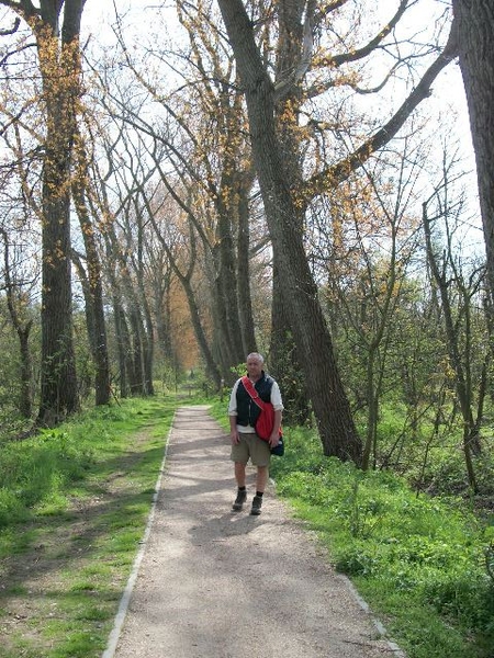 052-Ter Yde-prachtige wandelpaden en dreven