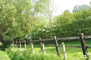 019 VLAANDEREN...NATUURPRACHT...!