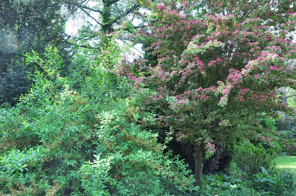 050