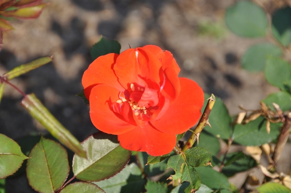 050