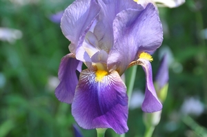 025