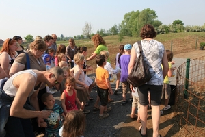 kinderboerderij 066