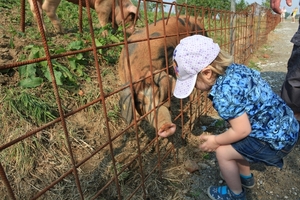 kinderboerderij 076