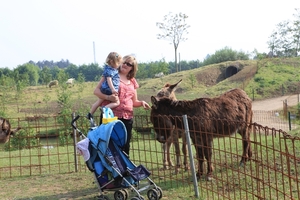 kinderboerderij 101