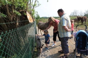 kinderboerderij 104