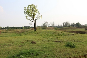 kinderboerderij 113