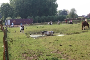 kinderboerderij 116