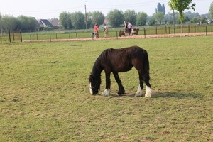 kinderboerderij 119