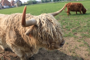 kinderboerderij 124