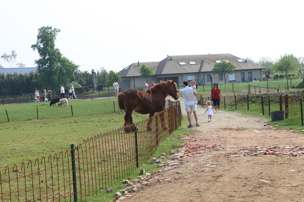 kinderboerderij 130