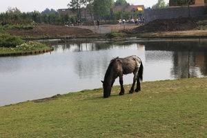 kinderboerderij 152