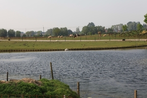 kinderboerderij 187