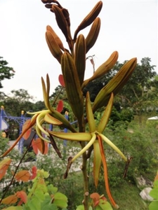 DSC03186