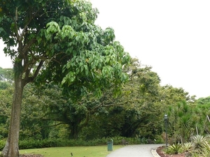 Singapore 065
