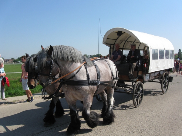 Hakendover processie 2011 062